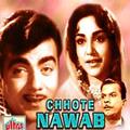 Chhote Nawab