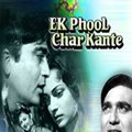 Ek Phool Char Kaante