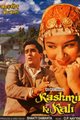 Kashmir Ki Kali Movie Poster